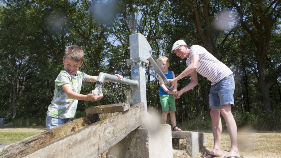 De Lemeler Esch Natuurcamping, tiny house Overijssel