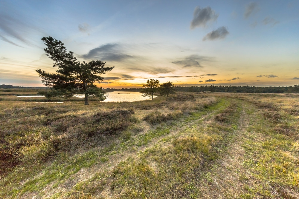 Hijkerveld natuurgebieden drenthe, Natuurgebieden in Nederland