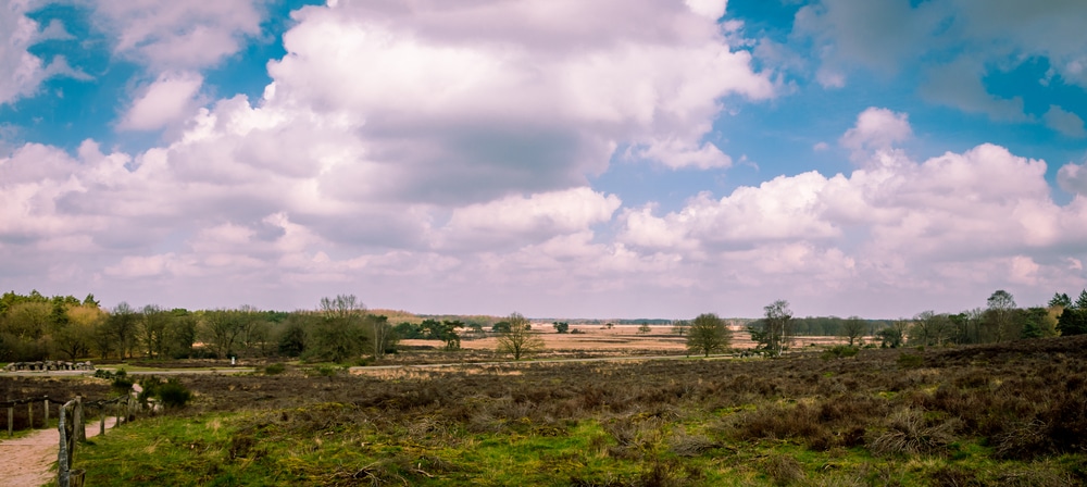 Holtingerveld Natuurgebieden Drenthe