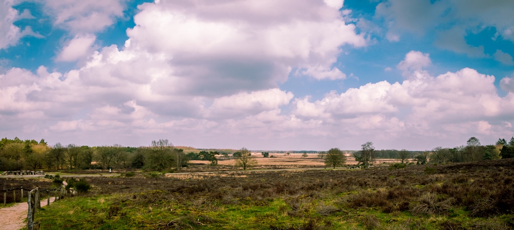 Holtingerveld natuurgebieden drenthe, wandelen in Drenthe