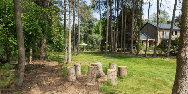 Natuurhuisje in Luyksgestel, vakantiehuisjes met jacuzzi op de Veluwe