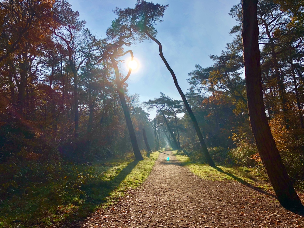 Dit zijn de 10 mooiste natuurgebieden in Noord-Holland