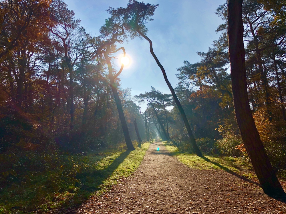 Bergerbos natuurgebieden Noord Holland, Natuurgebieden in Nederland