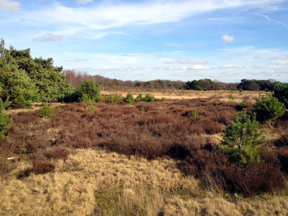 De Groote Heide natuurgebieden noord brabant, Bezienswaardigheden Zuid-Holland