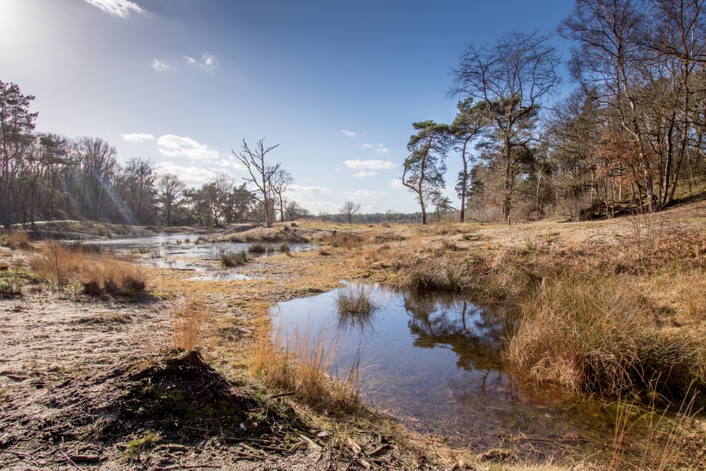 De Maashorst natuurgebieden Noord Brabant, Bezienswaardigheden Zuid-Holland