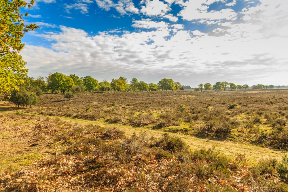 Deelerwoud Natuurgebieden Gelderland, wandelen op de veluwe