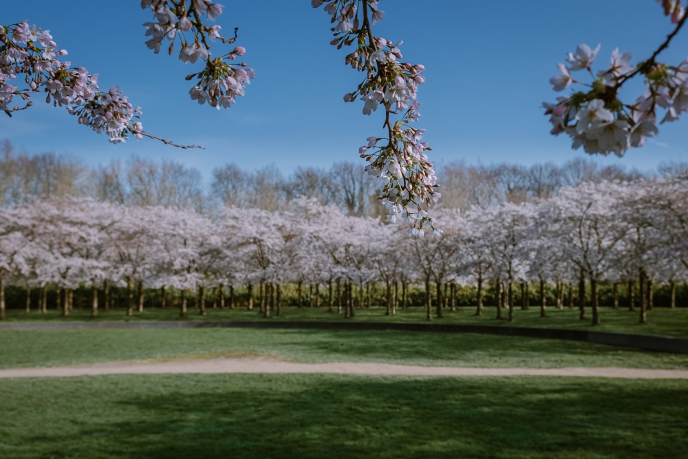 Het Amsterdamse bos natuurgebieden Noord Holland, wandelen in Noord-Holland