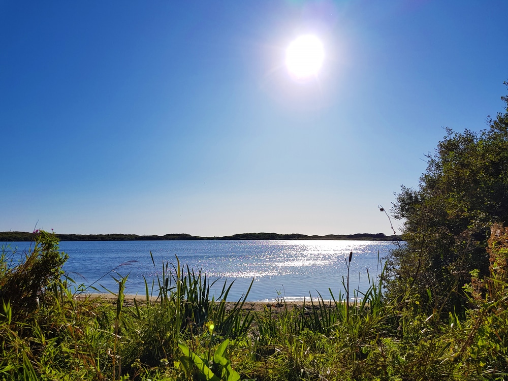 Dit zijn de 10 mooiste natuurgebieden in Noord-Holland