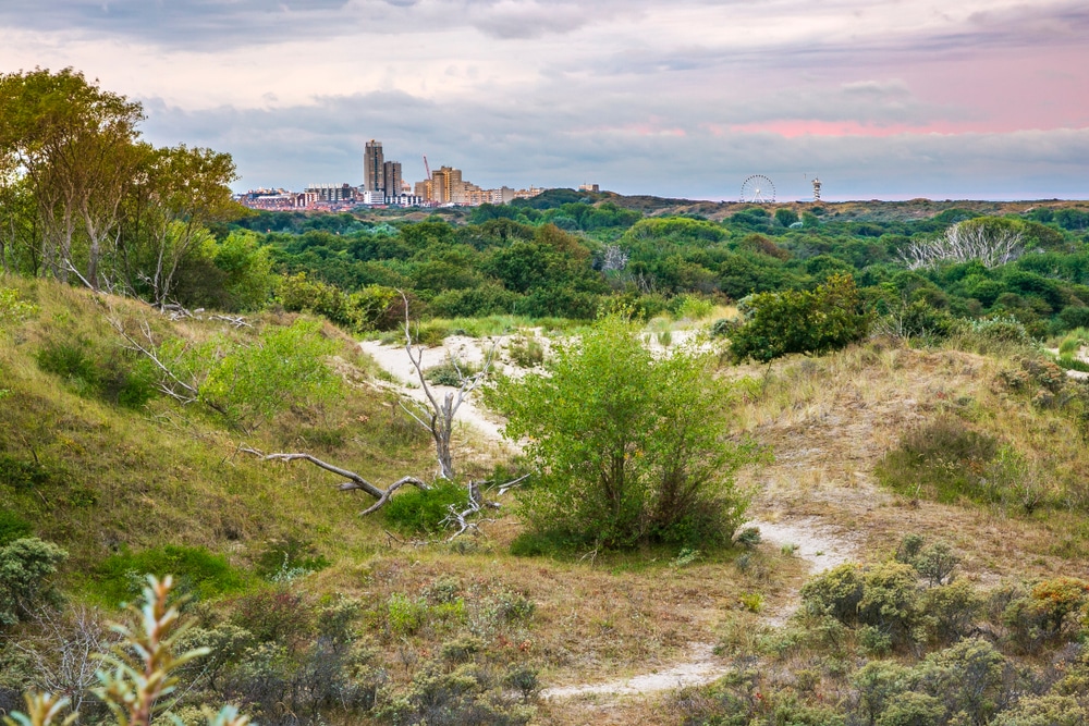 Meijendel natuurgebieden Zuid Holland, Natuurgebieden in Nederland