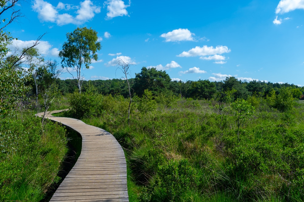 Nationaal Landschap Het Groene Woud natuurgebieden Noord Brabant, wandelen brabant