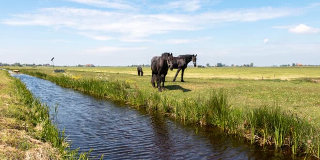 Nationaal Landschap Noardlike Fryske Walden natuurgebieden Friesland, fietsvakantie europa