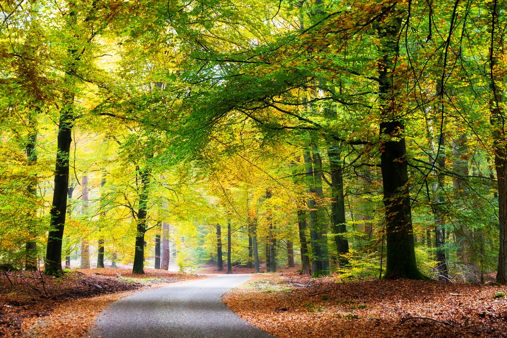 Nationaal Park Hoge Veluwe Natuurgebieden Gelderland, Nijmegen