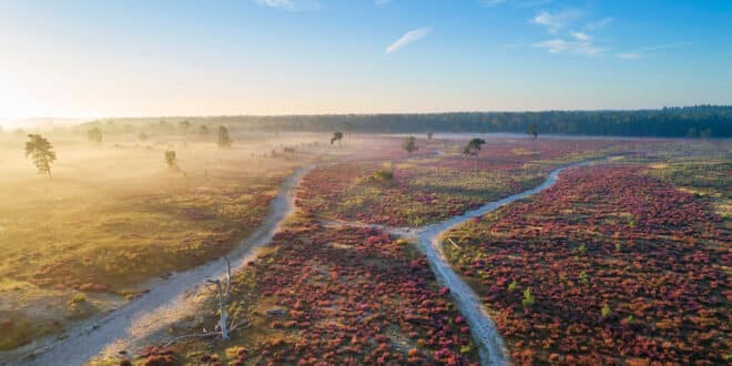 Nationaal Park Loons en Drunense duinen natuurgebieden Noord Brabant, kindercamping Noord-Brabant