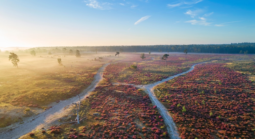 Nationaal Park Loons en Drunense duinen natuurgebieden Noord Brabant, wandelen brabant