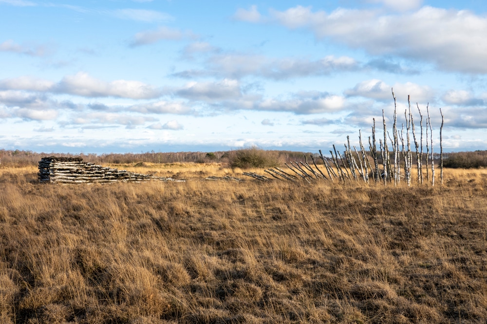 Nationaal Park de Groote Peel natuurgebieden Noord Brabant, wandelen brabant