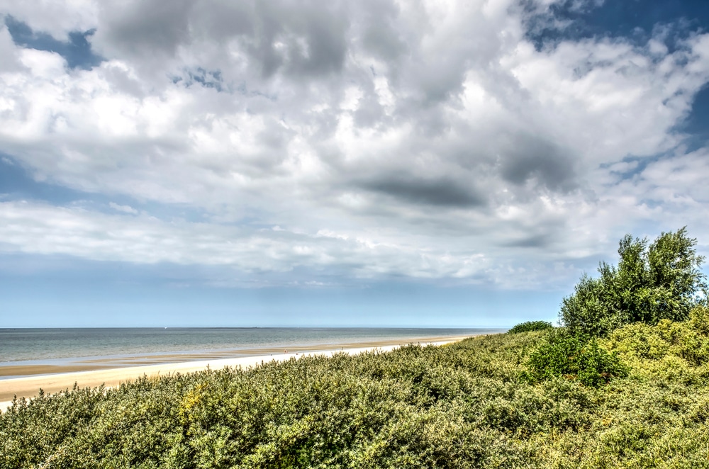 Dit zijn 10 mooie natuurgebieden in Zuid-Holland