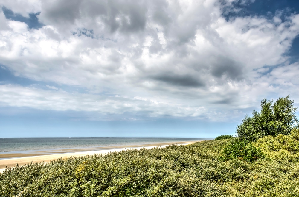 Voornes Duin Natuurgebieden Zuid Holland, mooie spaanse costa's