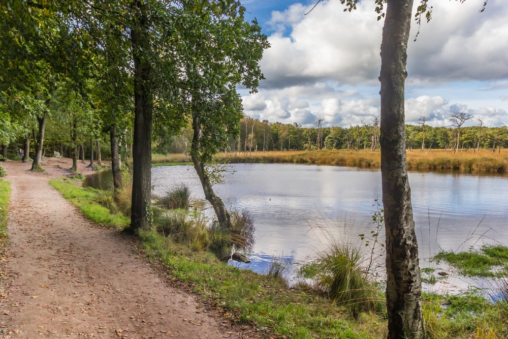 Appelbergen natuurgebieden Groningen, Natuurgebieden in Nederland