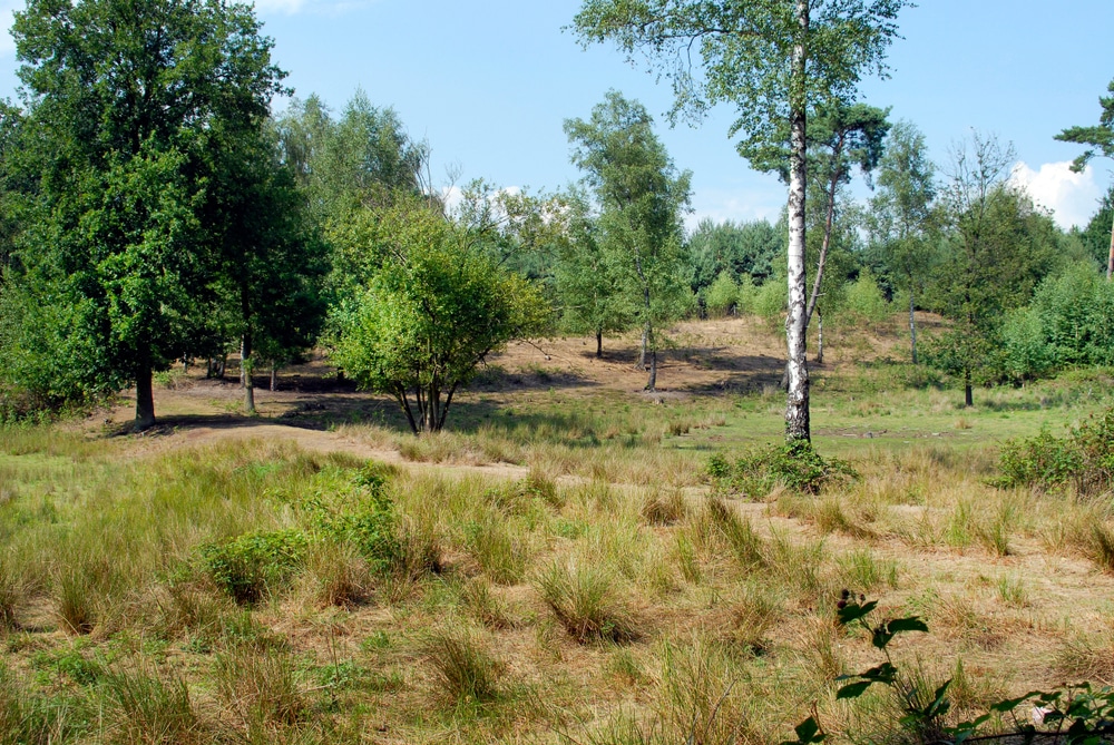 De Beegderheide natuurgebieden Limburg, tiny house Zuid-Limburg