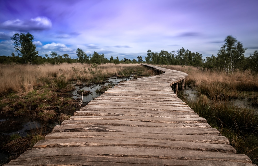 Nationaal Park de Groote Peel natuur Limburg, natuurgebieden nederland