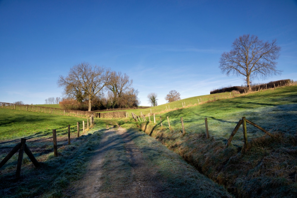 10 unieke natuurgebieden in Limburg