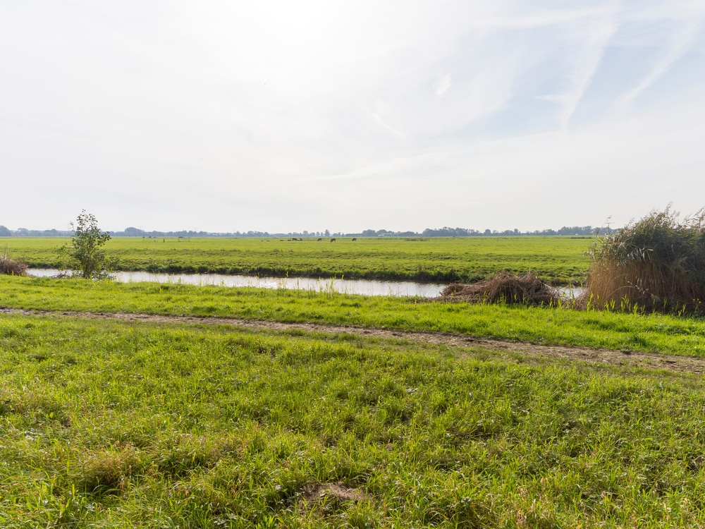 Dit zijn 10 mooie natuurgebieden om te wandelen in Groningen
