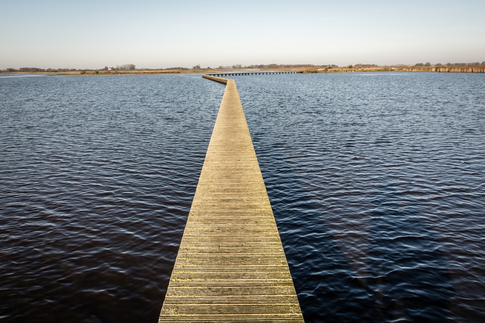 Dit zijn 10 mooie natuurgebieden om te wandelen in Groningen