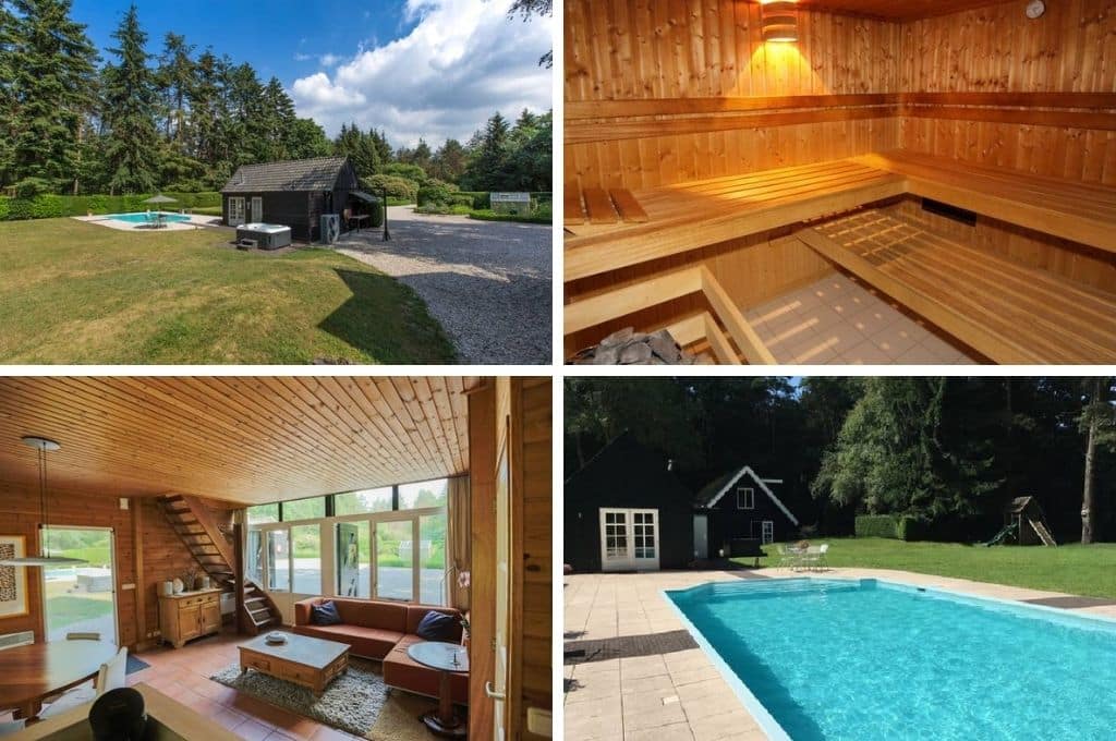 Natuurhuisje In Nunspeet Jacuzzi Zwembad 1