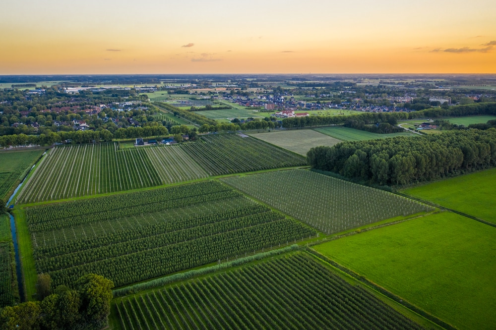 Beuningen omgeving Nijmegen shutterstock 1786612097, Nijmegen