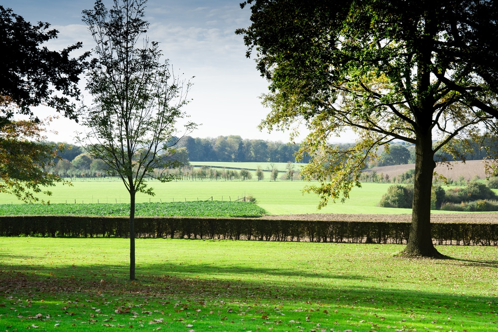 groen landschap met lage, uitgestrekte heuvels en bomen in Zuid-Limburg