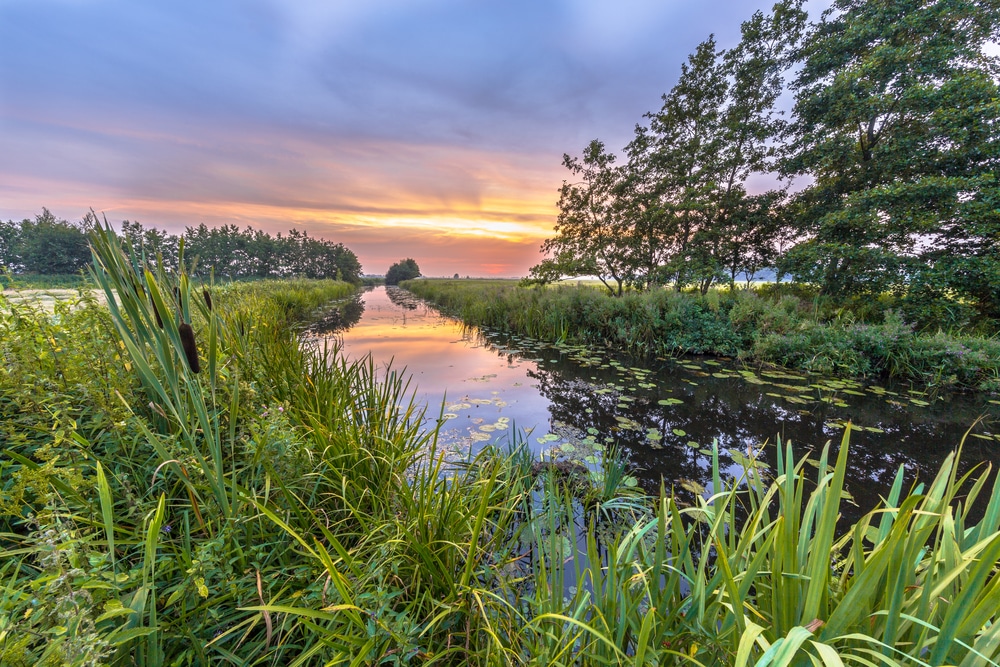 Natuurgebied Beetsterzwaag Friesland Nederland, natuurgebieden friesland