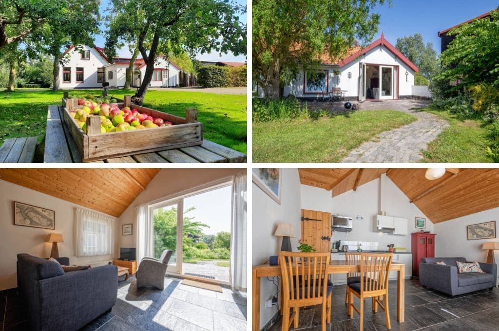 fotocollage van een natuurhuisje in de Cocksdorp op Texel met een foto van twee houten kratten met appels op de picknicktafel, een foto van het pad dat eindigt bij een openstaande deur van het huis, een foto van de woonkamer met grijzen banken en tv, en een foto van de eettafel met daarachter de keuken