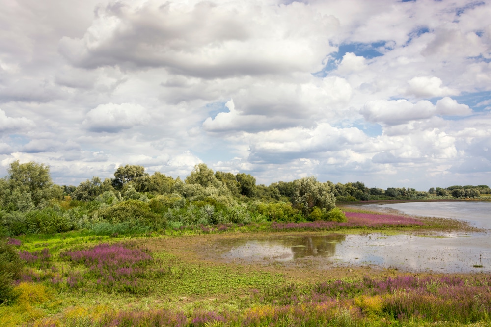 Ooijpolder Nijmegen shutterstock 1198473217, bezienswaardigheden alkmaar