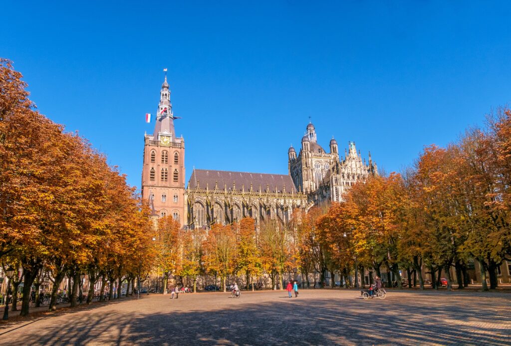 Sint Janskathedraal Den Bosch min, bezienswaardigheden alkmaar