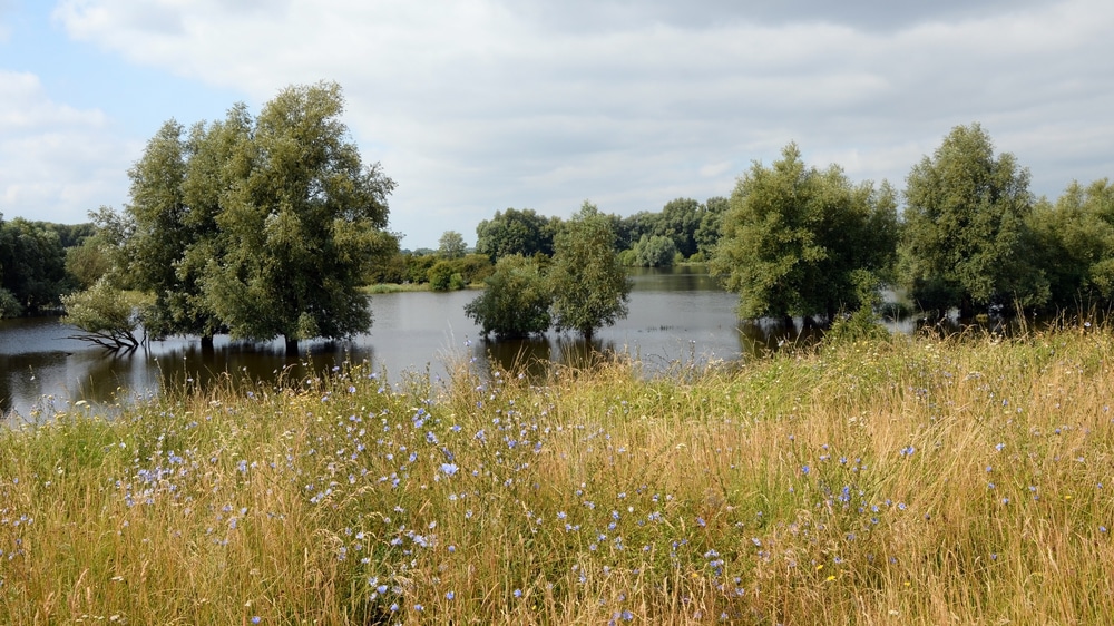 Wandelen op de Utrechtse Heuvelrug, de 10 mooiste wandelroutes!