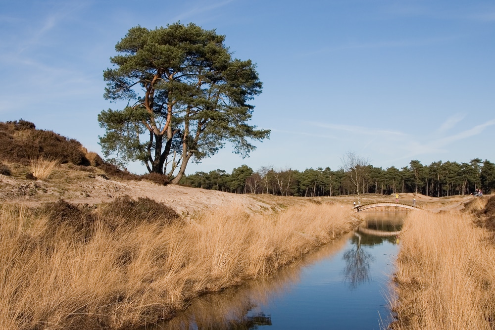 Landgoed Heidestein utrecht wandelroutes shutterstock 9495223, campings Utrechtse Heuvelrug