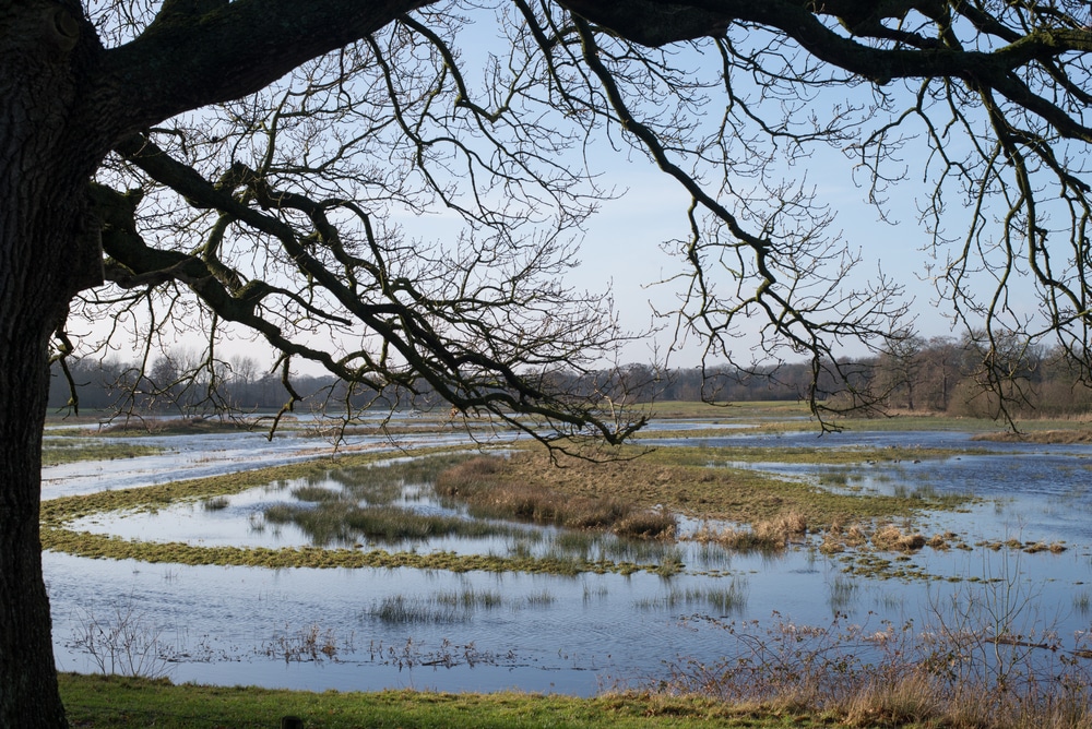 Nationaal Park Drentsche Aa Drenthe Nederland natuurgebied shutterstock 1900194811, 15 keer bijzonder overnachten op de Veluwe