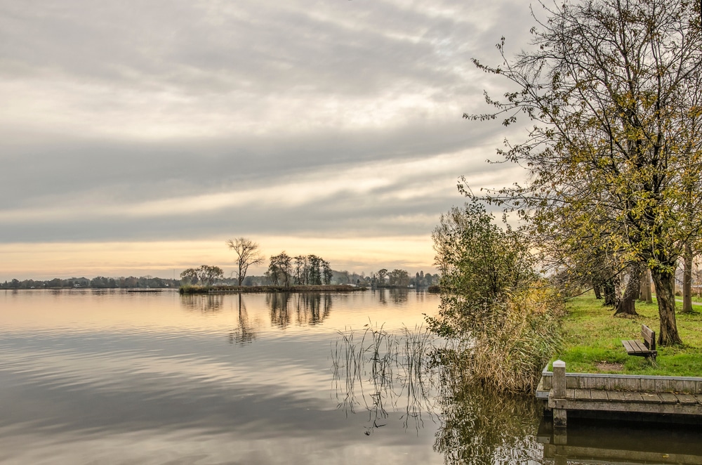 Reeuwijkse plassen wandelroutes Zuid Holland shutterstock 1562130625, wandelen in Zuid-Holland