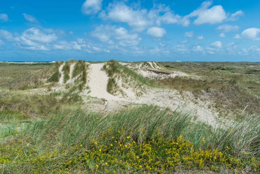 Terschelling Waddeneilanden Nederland natuurgebied shutterstock 1457130734, 15 keer bijzonder overnachten op de Veluwe