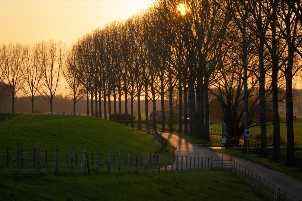 wandelen dijken en rivieren Dordrecht zuid holland shutterstock 1361712983, Bezienswaardigheden Zuid-Holland