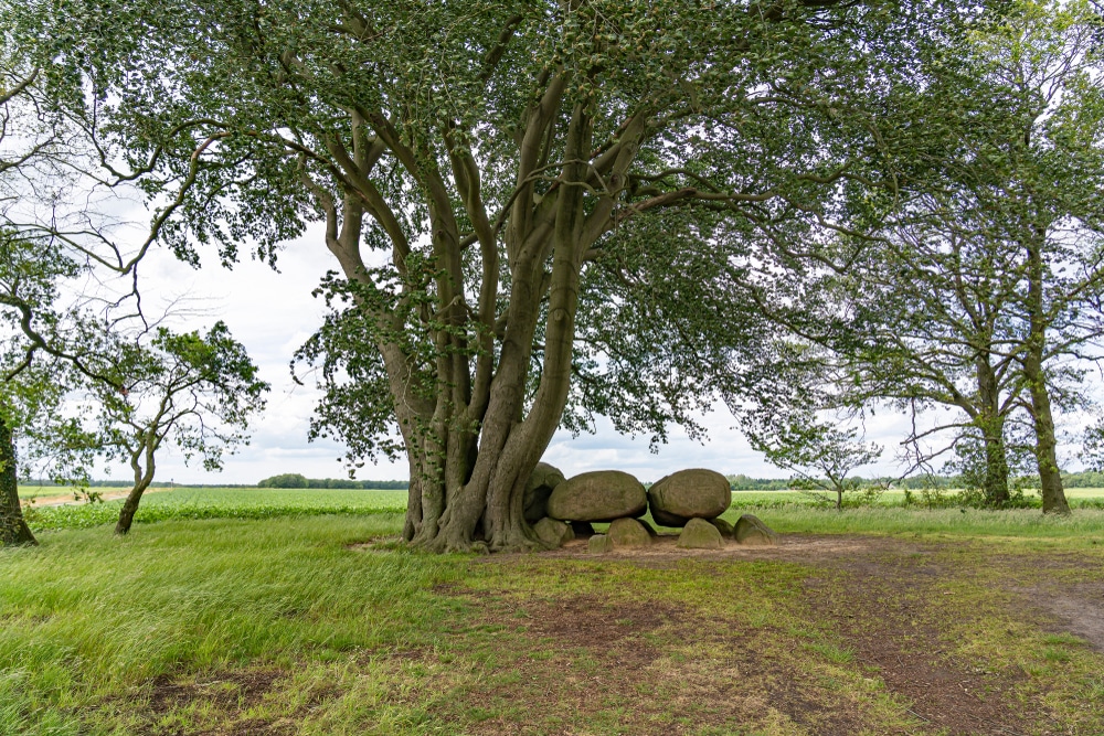 Hunebed D22 Drenthe wandelen shutterstock 1633935466, mooiste campings in Drenthe