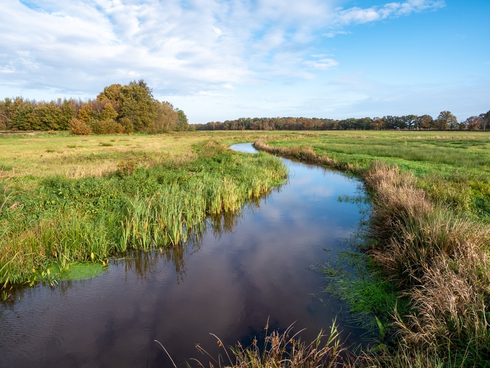 Reestdal wandelen Drenthe shutterstock 2059444286, wandelen in Friesland