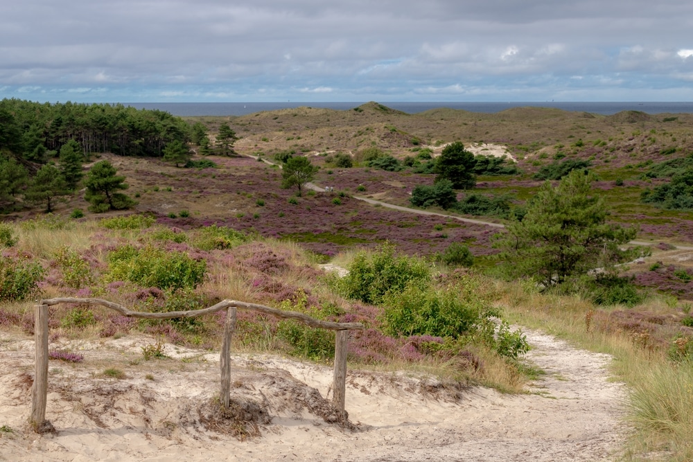 Wandelen in Noord-Holland, 10 tips voor de mooiste wandelroutes!