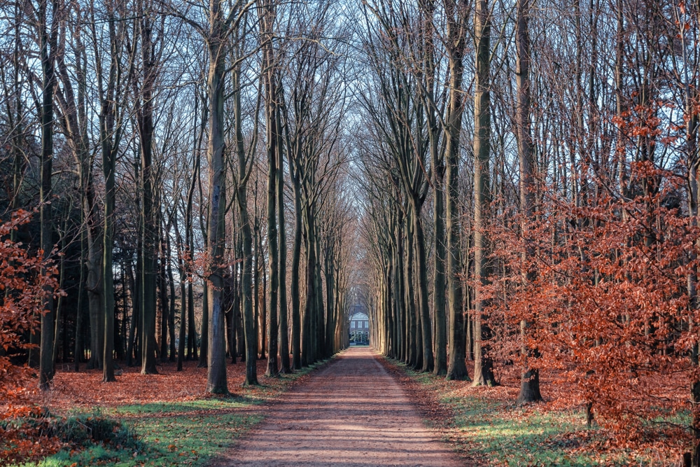 Wandelen in Noord-Holland, 10 tips voor de mooiste wandelroutes!