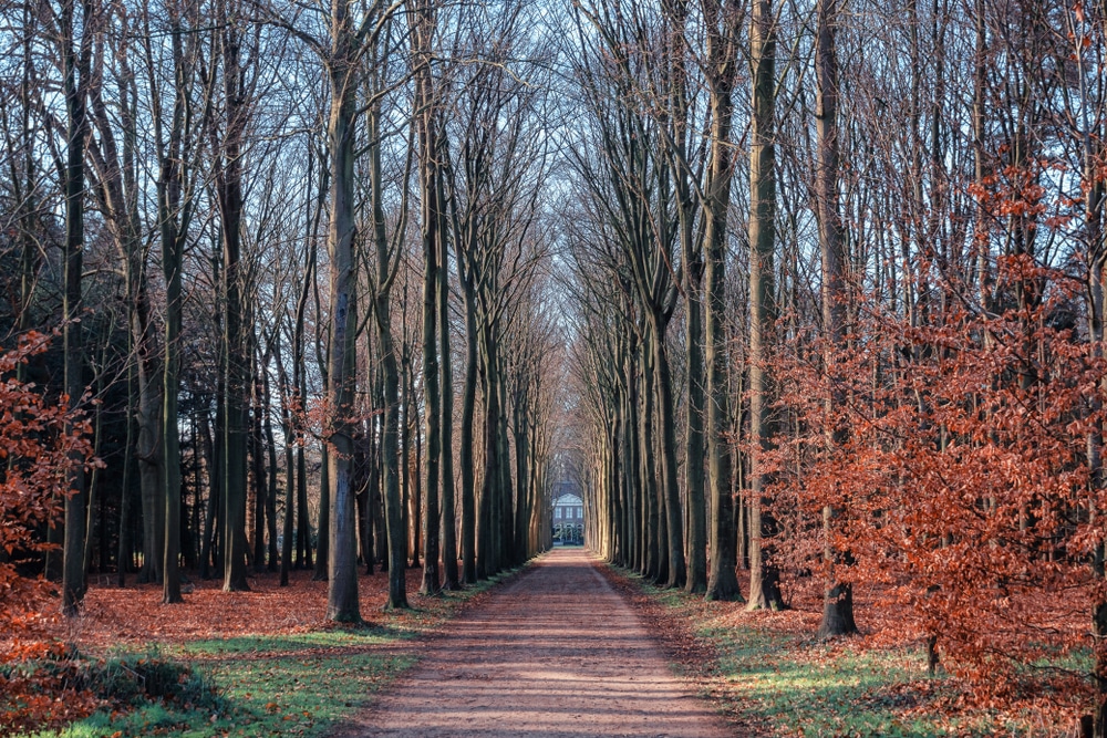 gooilust gooi en vechtstreek wandelen noord holland shutterstock 1249130116, wandelen in Noord-Holland