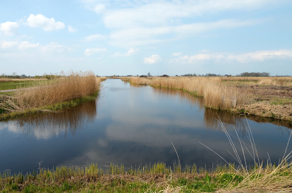 Wandelen in Noord-Holland, 10 tips voor de mooiste wandelroutes!