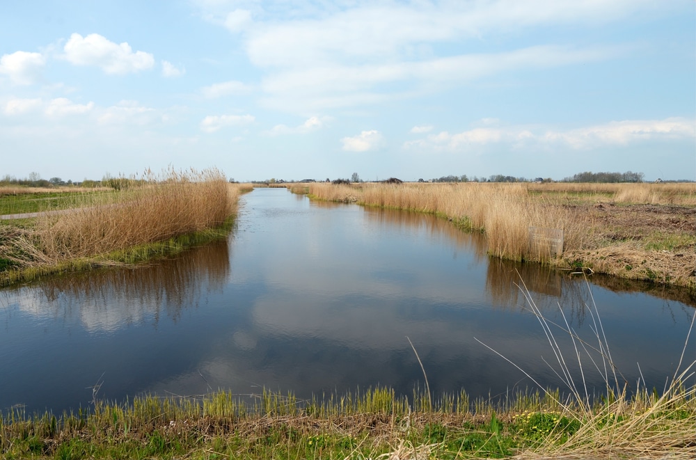 het twiske wandelroutes noord holland shutterstock 1962851326, wandelen in Noord-Holland