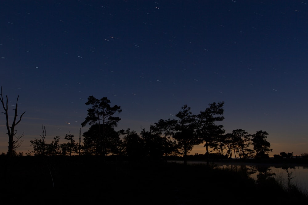 nachtwandelroute Dwingelderveld wandelen drenthe shutterstock 1775076902, mooiste campings in Drenthe