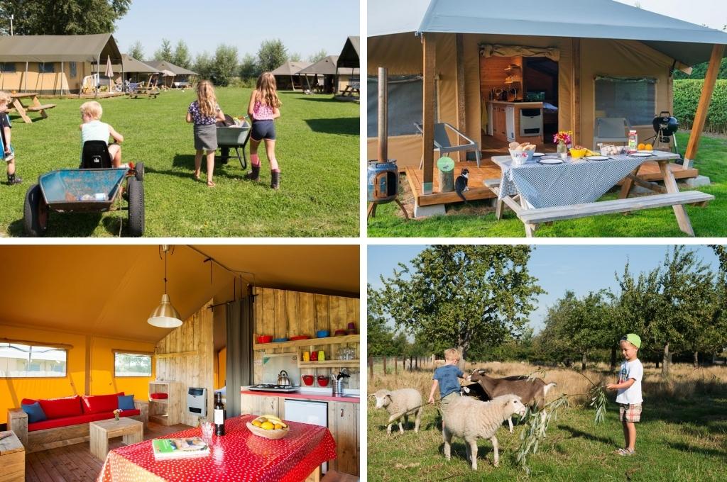 glamping zeeland farmcamps oranjepolder 1, campings Nederland aan zee