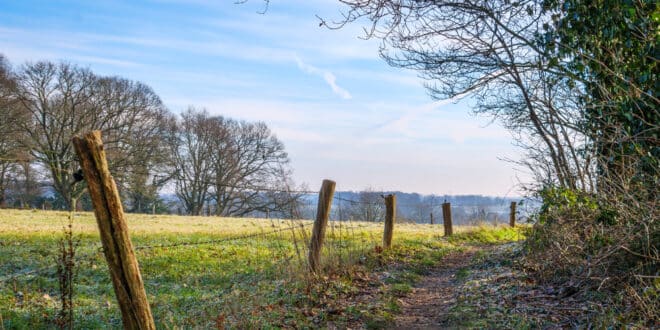 pad in markelo wandelroutes twente shutterstock 1908088720, wandelen Overijssel